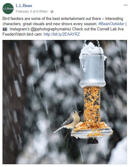 increase website engagement with social media