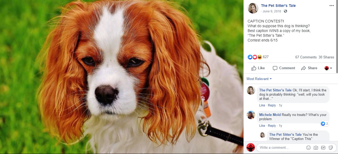 dog photo caption contest
