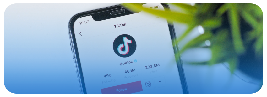 TikTok stats