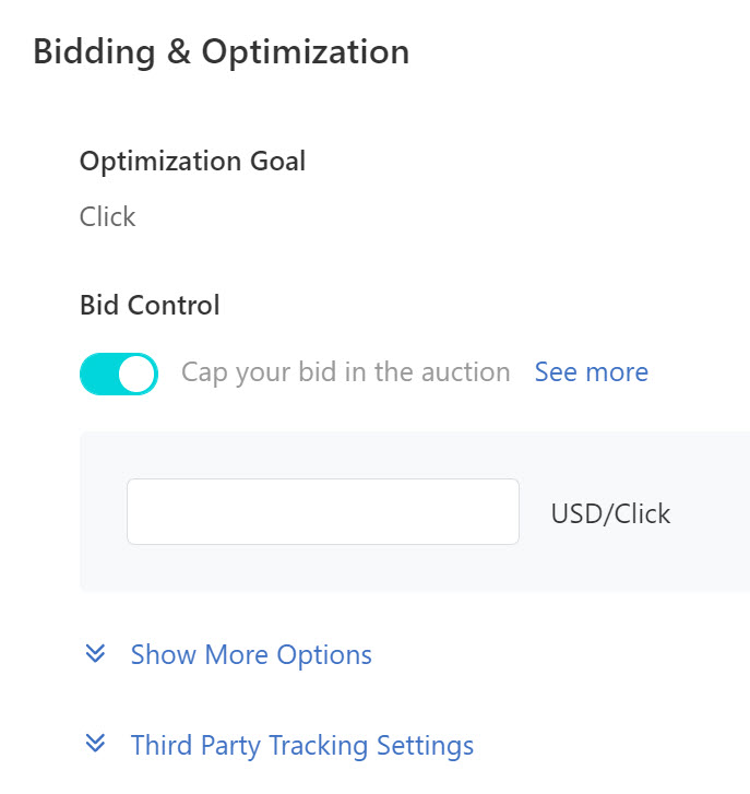 TikTok ads bidding