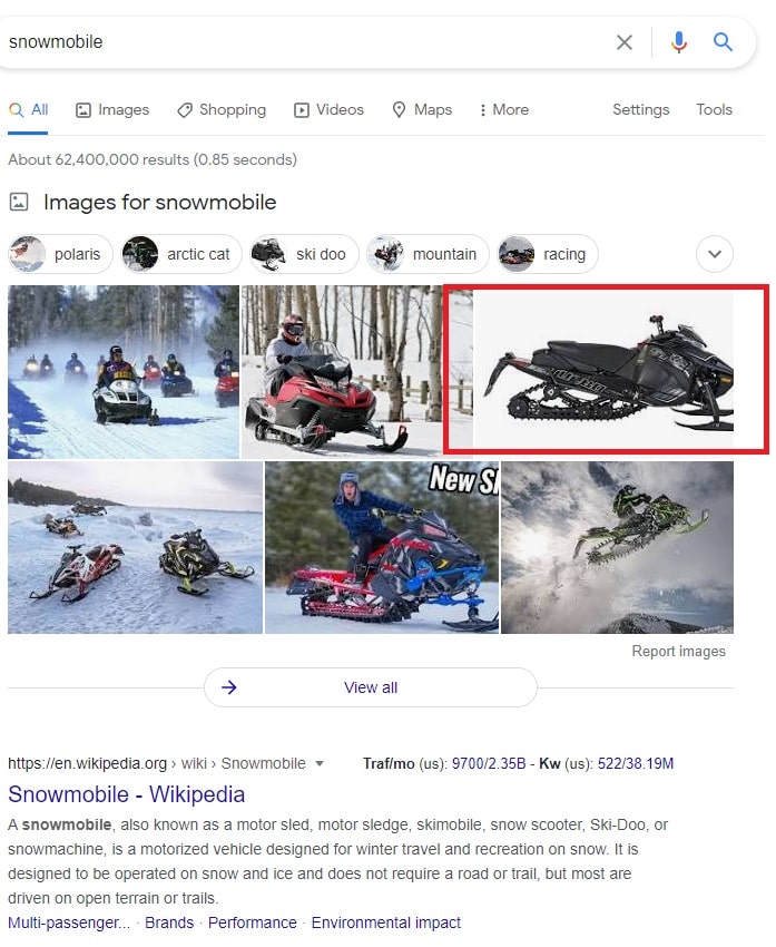 Google Snowmobile Search Results