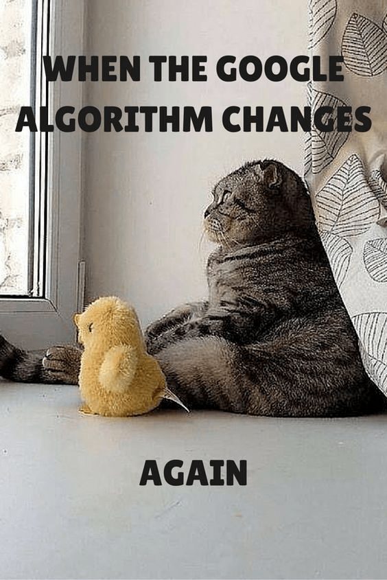 marketing memes