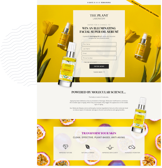 landing page design