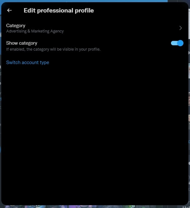 Twitter Web Edit Professional Profile
