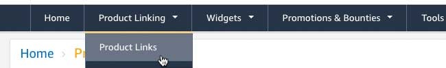 Amazon Associate Product Links