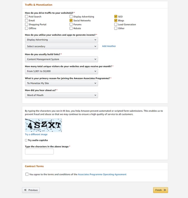 Amazon Associate Traffic & Monetization