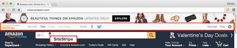 SiteStripe