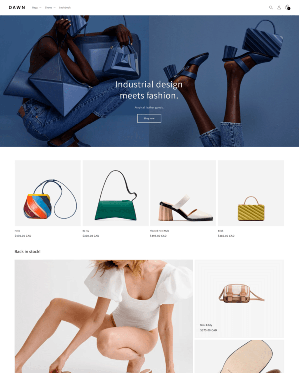 Shopify themes