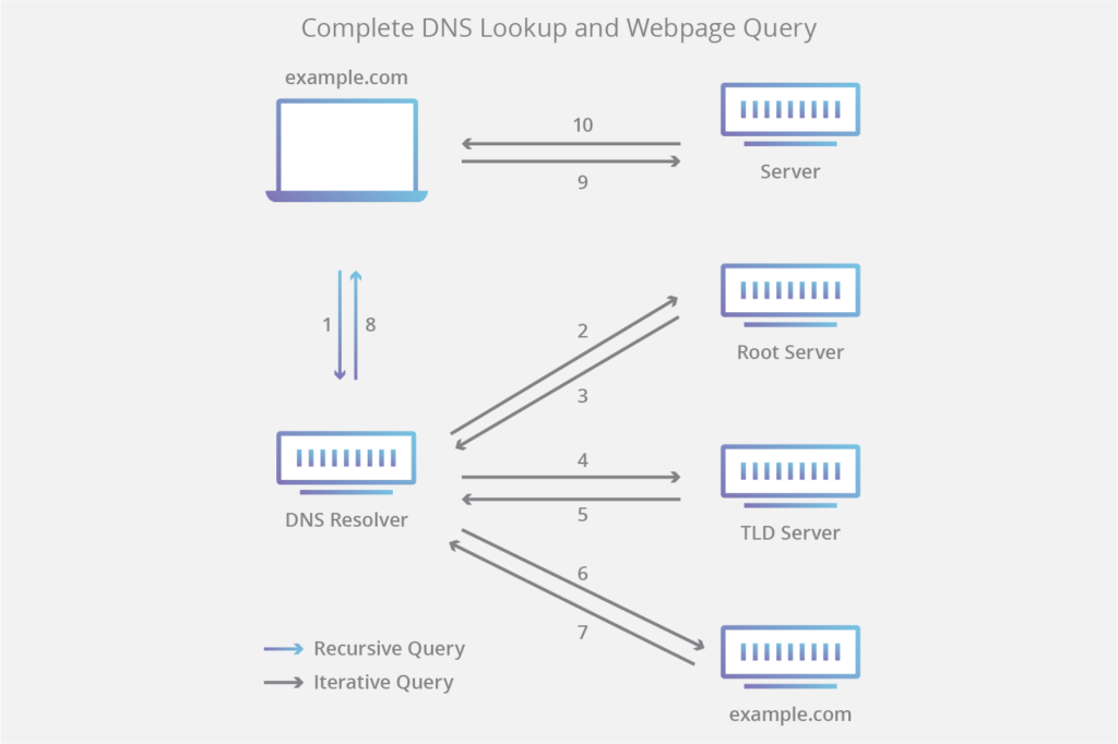 DNS lookup