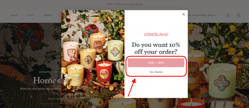 ecommerce CTA example