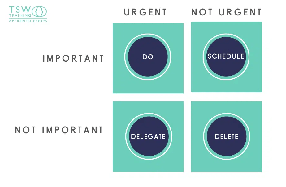 team task management