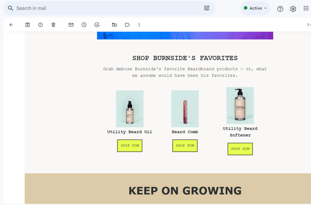 ecommerce email marketing example