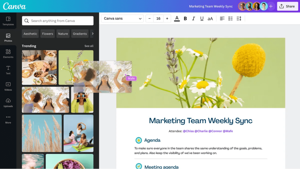 graphic design platform