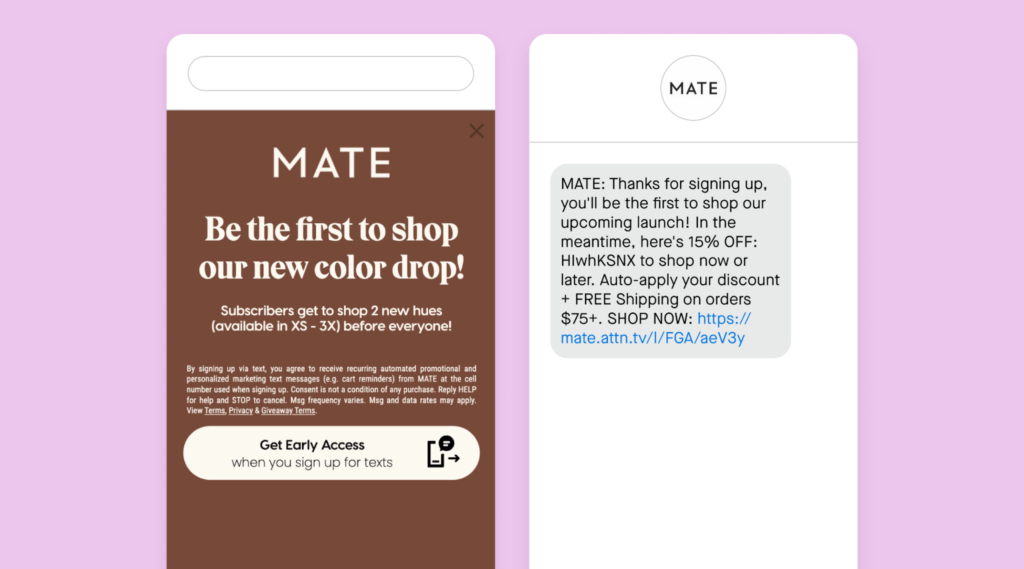 SMS marketing example