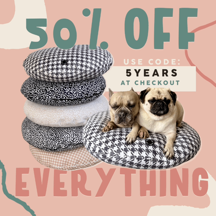 email marketing pets