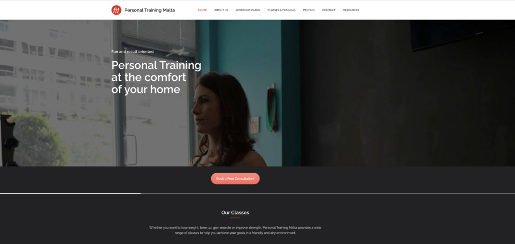 Professional Website