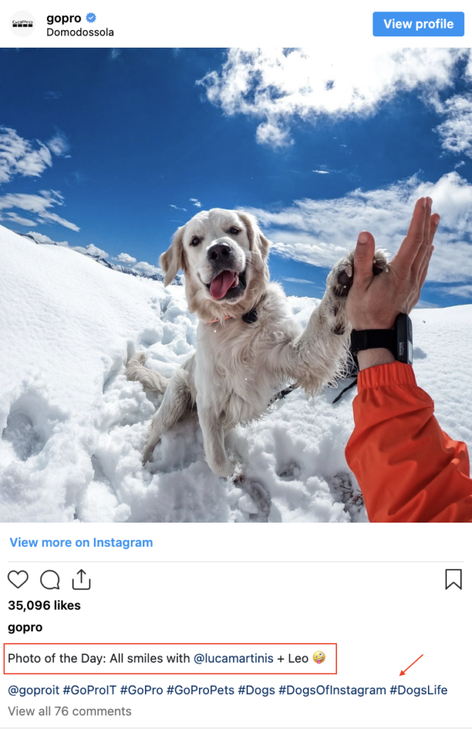 Feature UGC on Your Platforms