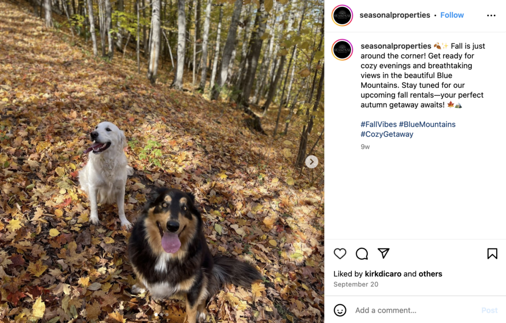 Seasonal Campaigns on Instagram