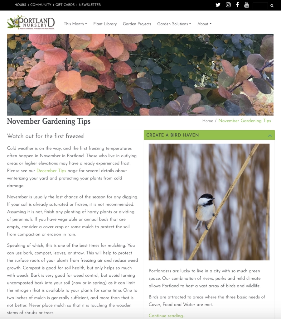 Start a Blog With Local Focus