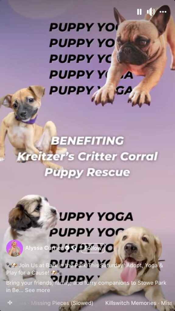 Adopt-a-Cause Giveaway
