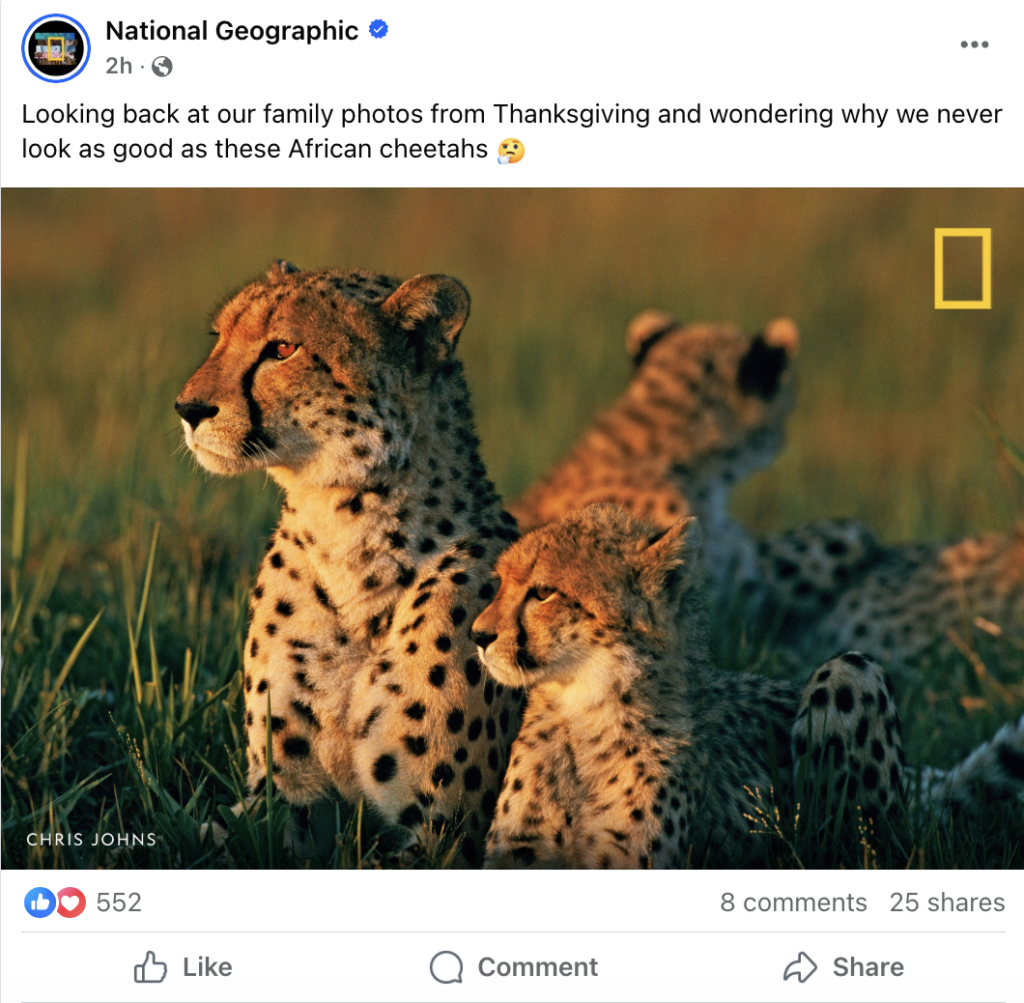 Post High-Quality Content Consistently