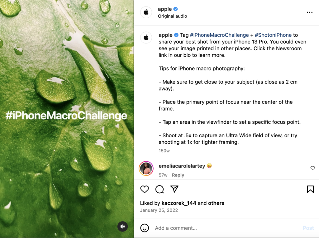 Macro Photography Challenge