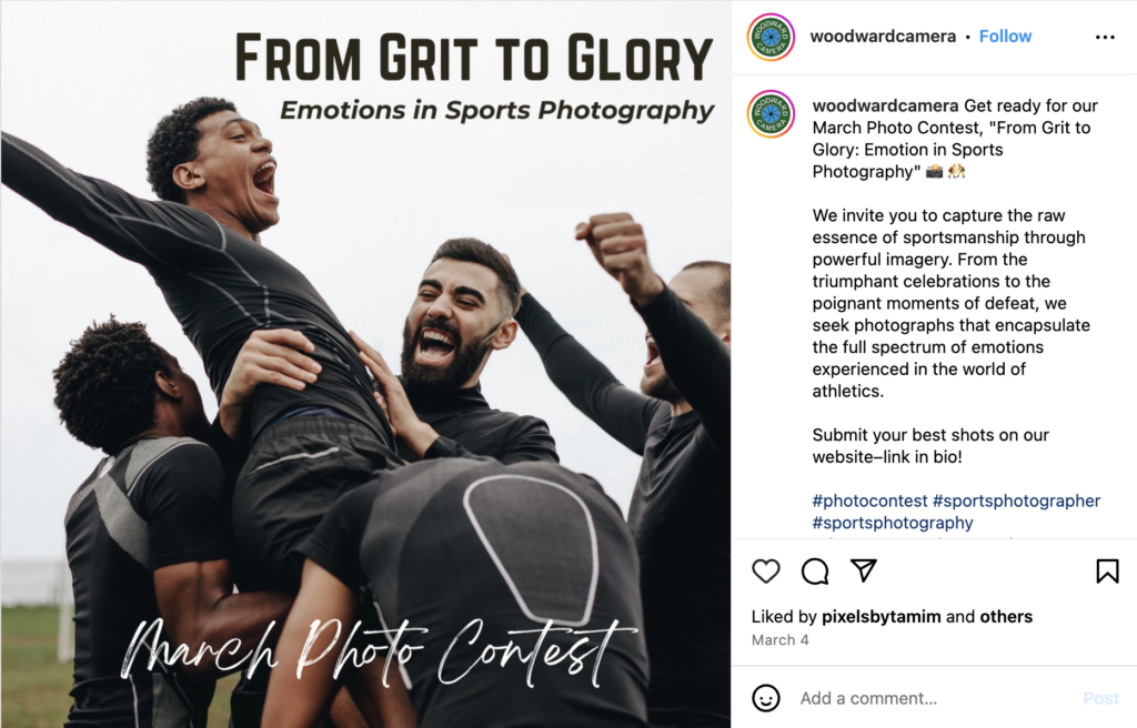 Action Photography Contest