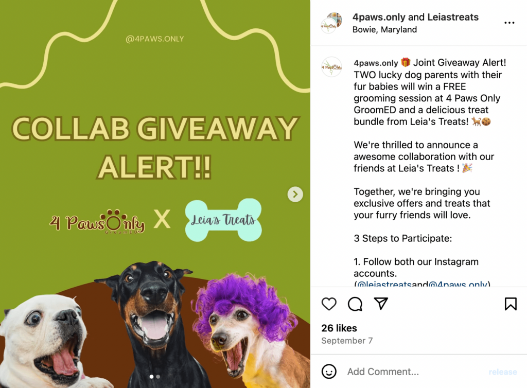 Pet-Friendly Giveaway