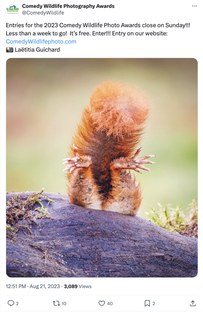 Humor in Photography Contest