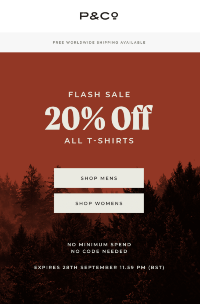 Seasonal Flash Sales for Past Visitors