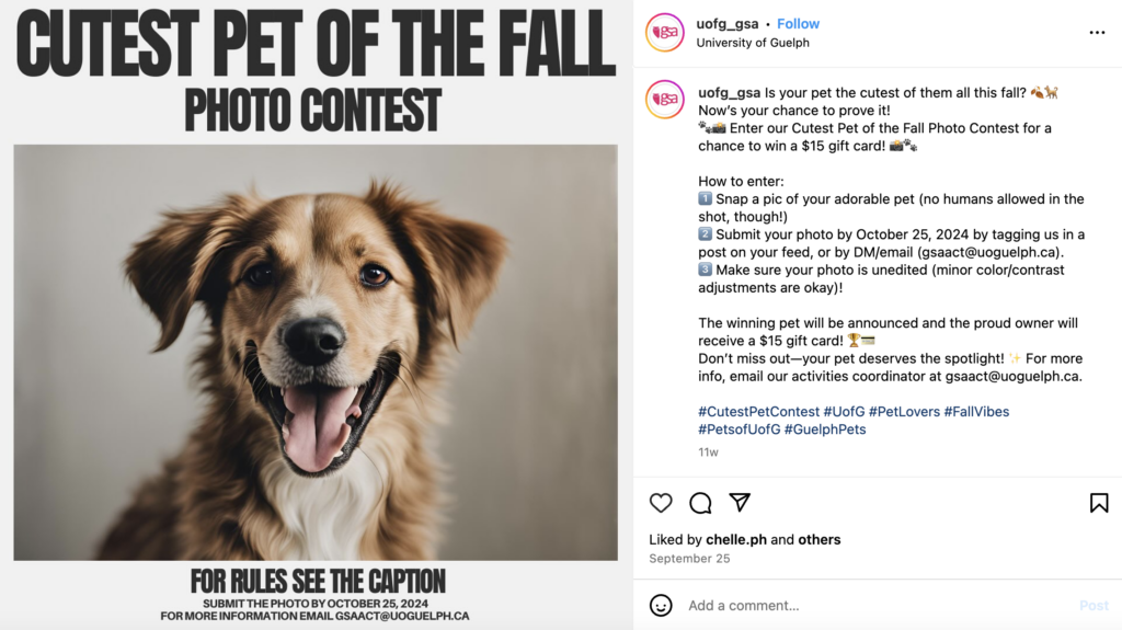 Pet Photography Contest