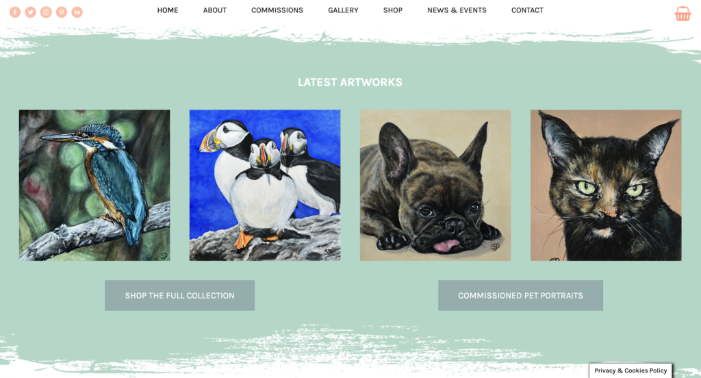 Showcase Portfolio Work