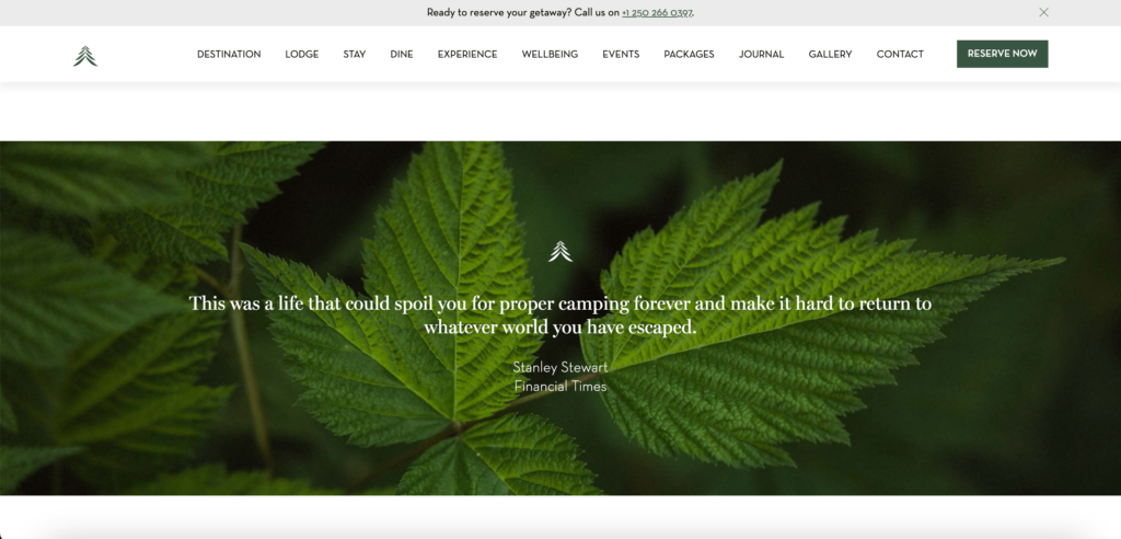 Showcase Guest Testimonials