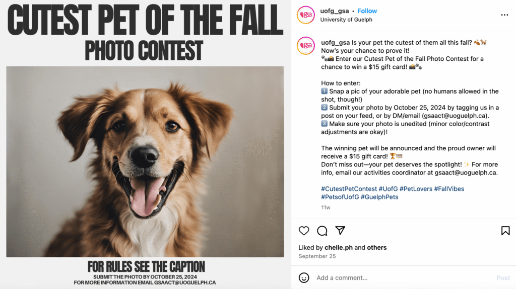 Host Online Contests