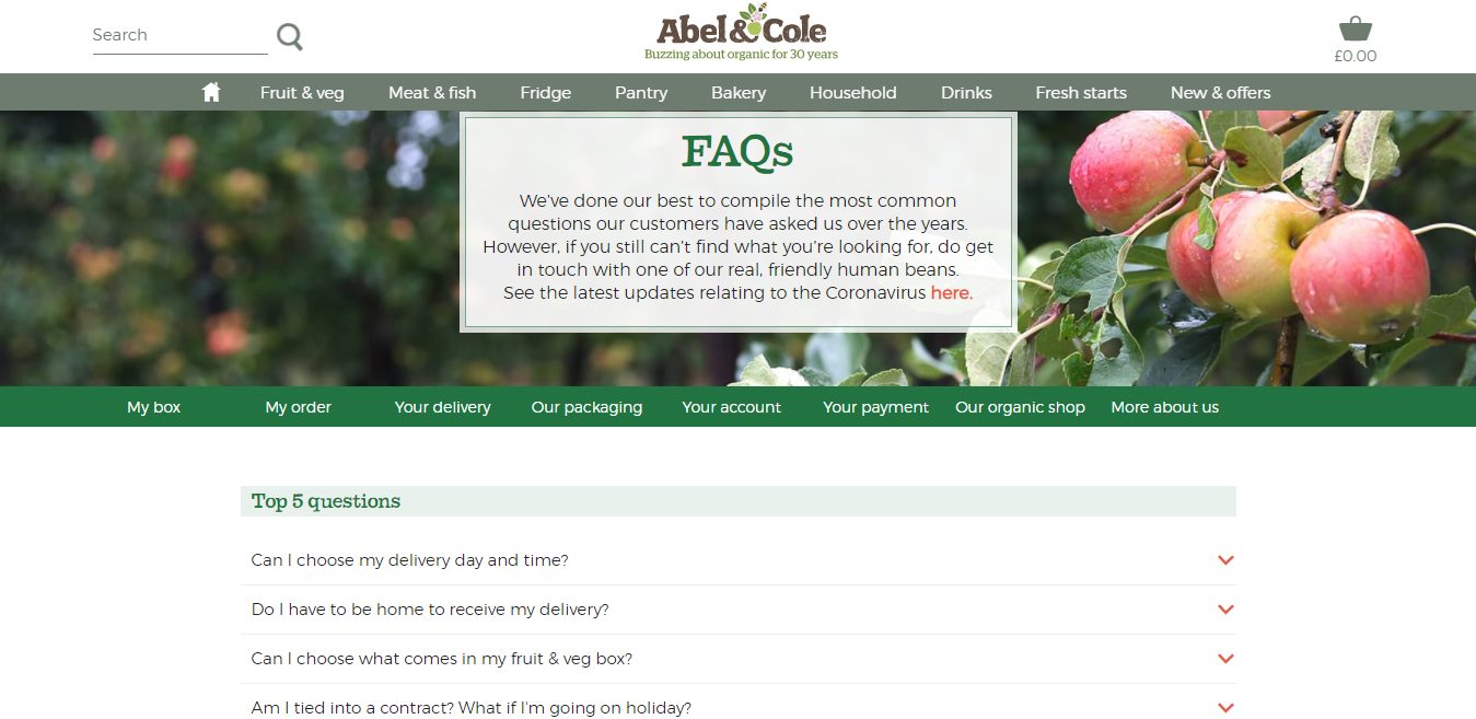 30 Best FAQ eCommerce Examples & Tips that Helps to Boost Sales