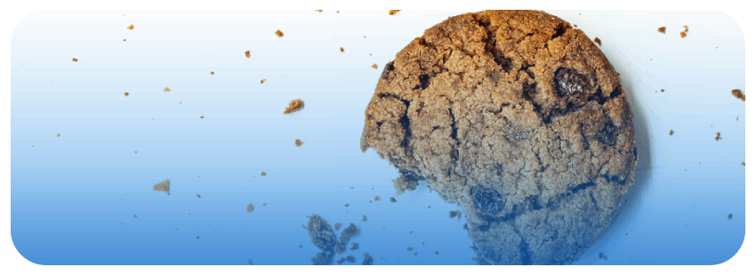 ce-que-signifie-la-disparition-des-cookies-tiers-pour-les-sp-cialistes